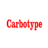 Carbotype